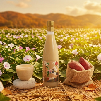 대접12도